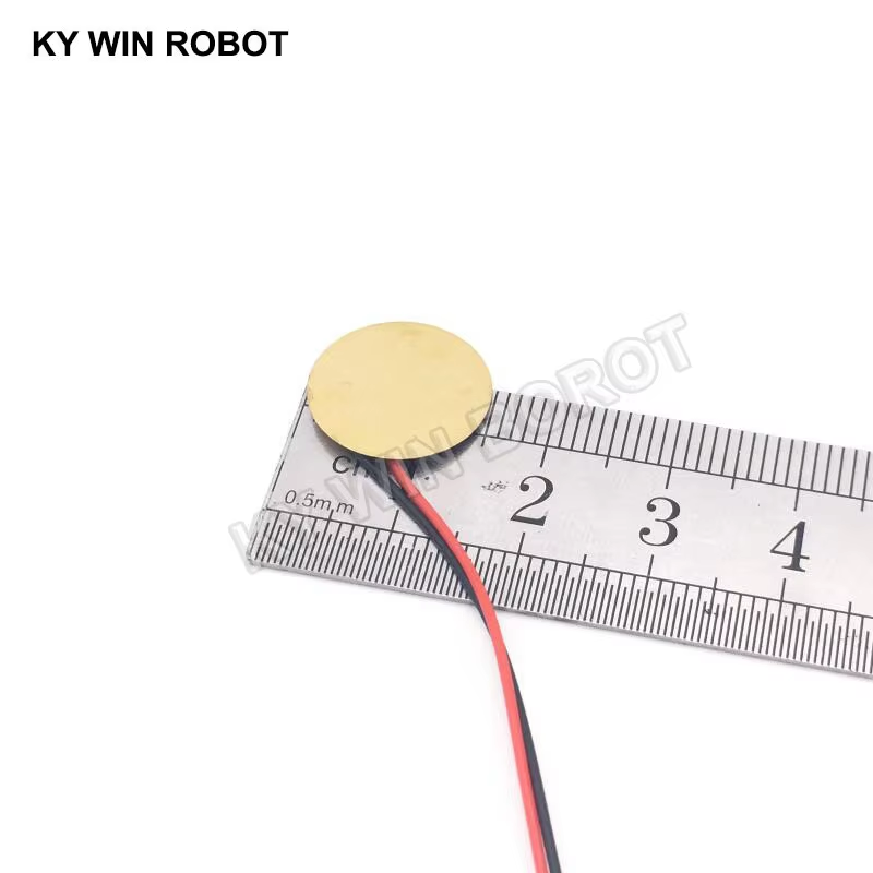 10 szt. Piezoelektrycznych pły – R/Diy Electronics recenzja i cena